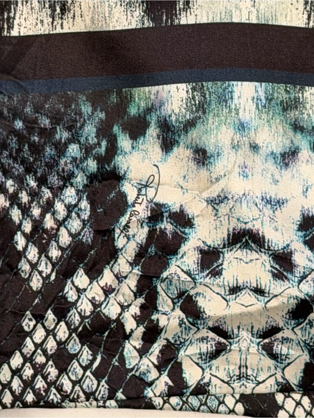 Roberto Cavalli Black Blue Printed skirt - Picture 8 of 11